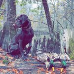 Josh Staggs - @jstaggs38 - Instagram