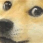 Josh Staggs - @josh__doge - Instagram