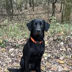Josh Staggs - Facebook