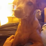 Josh Stanfill - @stanfilljosh - Instagram