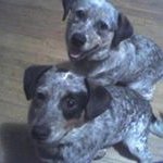 Josh Staten - @sweettooth071697 - Instagram