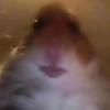 Josh Stephan - @josh01929 - TikTok