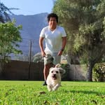 Josh Steve - @stevethe2cond - Instagram