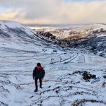 Josh Stevenson - @josh_stevenson_ - Instagram