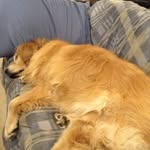 @josh_stuart_ - Instagram