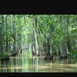 Joshua Stubblefield - @gator_wisperer - Instagram