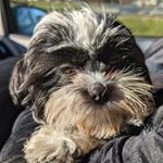 Josh Stull - @joshstull - Instagram