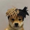 josh teague - @teagueeu_ - TikTok