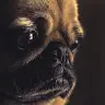 Josh Thiesen - @joshthiesen - TikTok