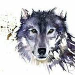 Josh Tillery - @josh.tillery - Instagram