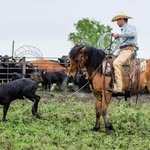 Josh Titus Horsemanship - @joshtitushorsemanship - Instagram