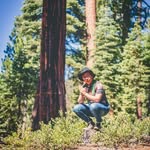 Joshua David MG - @joshua_treenationalpark - Instagram