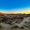 Joshua Tree National Park - @joshuatreenp - TikTok