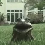 Josh Triplett - @joshtriplett - Instagram