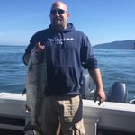 Josh Veals - @joshveals - Instagram