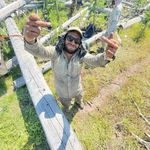 Josh Vega - @shin_diggin - Instagram