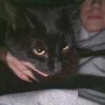 Josh Waller - @joshwaller920 - Instagram