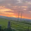 Josh - @joshwalton24 - TikTok