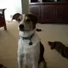 Josh Walton - @josh.walton0 - TikTok