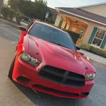 Joshua Wareham - @josh.65.440.7 - Instagram