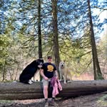 Josh Wayne - @joshwayne568 - Instagram