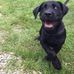 Josh Weeks - Facebook
