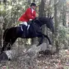 Josh Whitlock855 - @user5346063210821 - TikTok