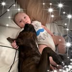 Josh Whittaker - @joshwhitt2297 - Instagram