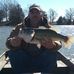 Josh Wiese - Facebook