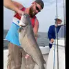Josh Wiesepape218 - @joshwiesepape2786 - TikTok