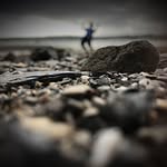 Joshs photography - @josh_wildlife_photography - Instagram