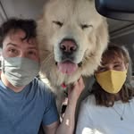 Josh Willms - @joshwillms8 - Instagram