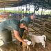 Josh Woodruff - Facebook