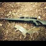josh workman - @fighting_mush101 - Instagram