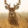 joshworkman982 - @joshworkman982 - TikTok