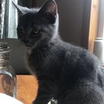 Josh Wortman - @joehill97531 - Instagram