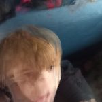 Josh Yager - @yager_josh - Instagram