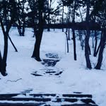 joshua andreas - @joshuaandreas24 - Instagram