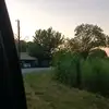 Josh - @joshua.barney7 - TikTok