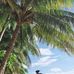 Joshua Auman - Facebook