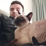 Josh Barham - @josh.barham1 - Instagram