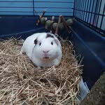 Joshua Bartram - @joshuabartram07 - Instagram
