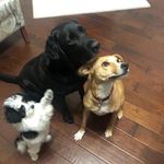 Joshua Bartz - @bartz7297 - Instagram