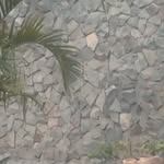 joshua barusi - @joshuabarusi - Instagram