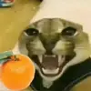 serberuxx - @joshuabastardo - TikTok