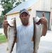 Joshua Batchelder - Facebook