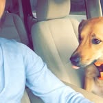 Joshua Bateman - @bateman252 - Instagram