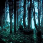 Joshua Bates - @joshua.bates.73550 - Instagram