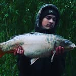 Joshua Bates - @queuejumpjosh - Instagram