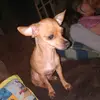 Joshua Bates - @joshua.bates55 - TikTok